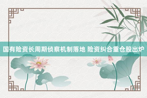 国有险资长周期侦察机制落地 险资纠合重仓股出炉