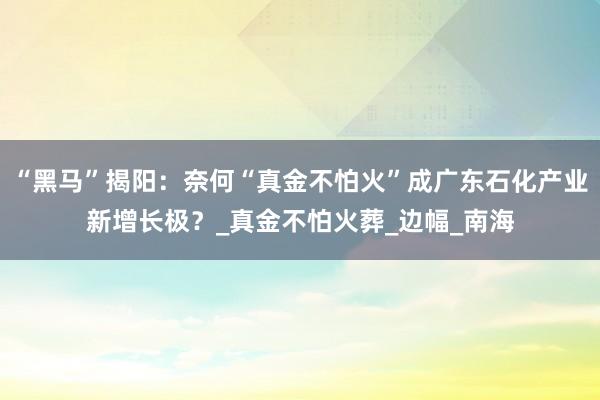 “黑马”揭阳：奈何“真金不怕火”成广东石化产业新增长极？_真金不怕火葬_边幅_南海