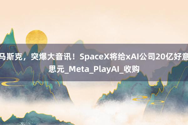 马斯克，突爆大音讯！SpaceX将给xAI公司20亿好意思元_Meta_PlayAI_收购