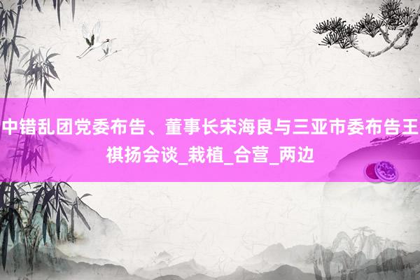 中错乱团党委布告、董事长宋海良与三亚市委布告王祺扬会谈_栽植_合营_两边