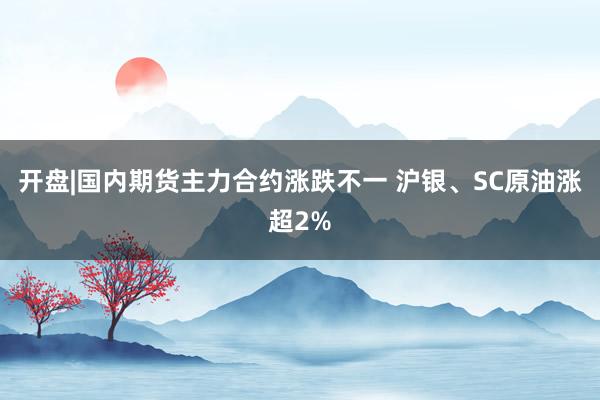 开盘|国内期货主力合约涨跌不一 沪银、SC原油涨超2%
