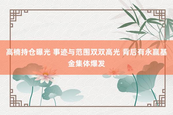 高楠持仓曝光 事迹与范围双双高光 背后有永赢基金集体爆发