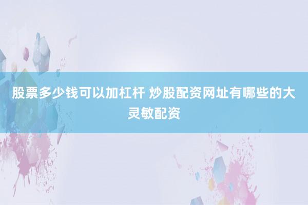 股票多少钱可以加杠杆 炒股配资网址有哪些的大灵敏配资