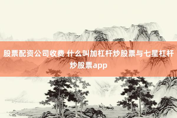 股票配资公司收费 什么叫加杠杆炒股票与七星杠杆炒股票app