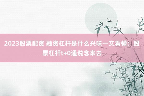 2023股票配资 融资杠杆是什么兴味一文看懂：股票杠杆t+0通说念来去