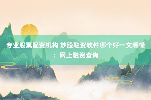 专业股票配资机构 炒股融资软件哪个好一文看懂：网上融资查询