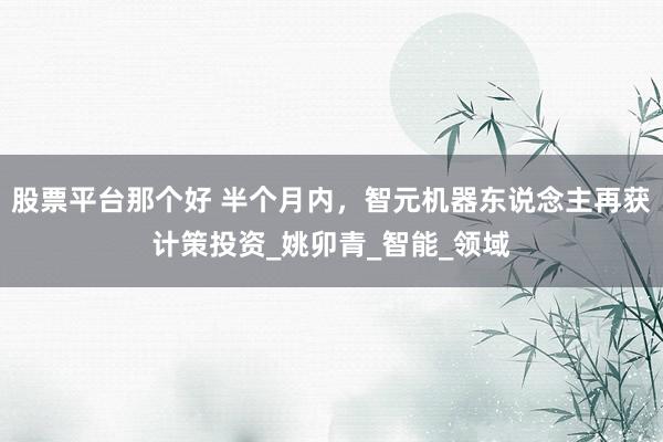 股票平台那个好 半个月内，智元机器东说念主再获计策投资_姚卯青_智能_领域